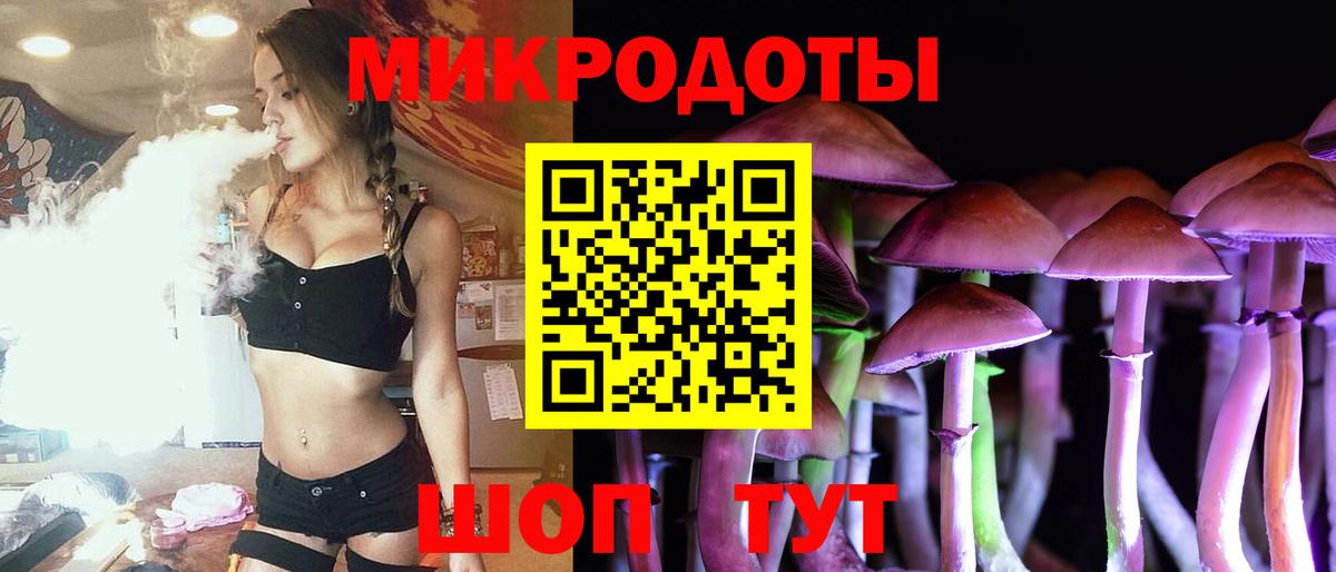 Псилоцибиновые грибы мицелий Курчалой
